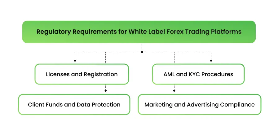 Regulatory Requirements for White Label Forex Trading Platforms - schema