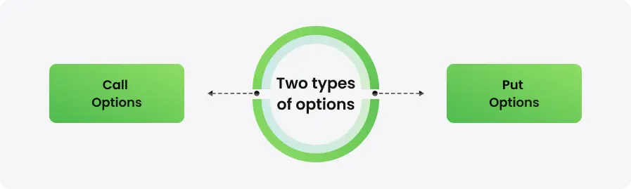 Two types of options - schema